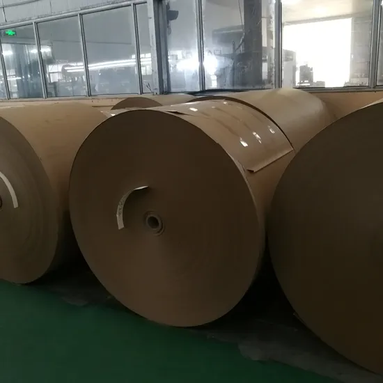 Fornitore di carta Cupstock patinata Kraft PE in rotoli / fogli / ventagli di carta in Cina